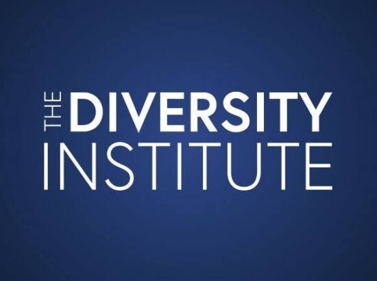 The Diversity Institute 